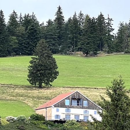 Maison D'Hotes Des Hauts De La Piquante Pierre Basse-sur-le-Rupt Luaran gambar